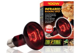 Инфракрасная лампа - Exo-Terra Infrared Basking Spot - R25 / 100 Вт - арт.: PT2144