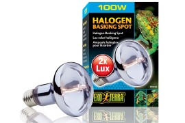 Лампа галогенная для баскинга - Exo-Terra Halogen Basking Spot - 100 Вт - арт.: PT2183