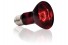 Инфракрасная лампа - Exo-Terra Infrared Basking Spot - R20 / 50 Вт - арт.: PT2141