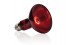 Инфракрасная лампа - Exo-Terra Infrared Basking Spot - R30 / 150 Вт - арт.: PT2146