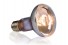 Влагоустойчивая лампа для черепах - Exo-Terra Swamp Basking Spot - R25 / 100 Вт - арт.: PT3782