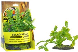 Растение иск. - Zoo Med Selaginella Ground Cover - Naturalistic Flora - арт.: BU-43E
