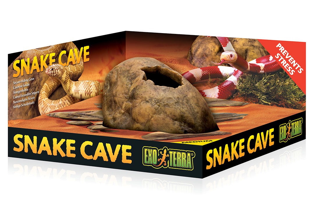 Snake cave horrorshow ru
