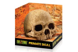 Укрытие-декорация "Череп примата" - Exo-Terra Primate Skull - арт.: PT2855