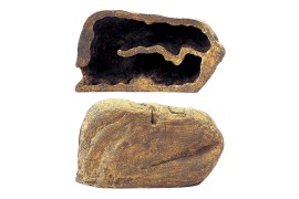 Пещера-лабиринт для рептилий и амфибий - Exo-Terra Reptile Den - Large - арт.: PT2863