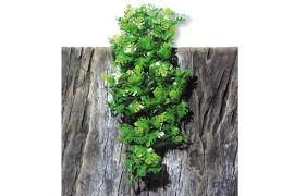 Растение иск. - JBL TerraPlanta Amazonas Philo - size M - 50 см - арт.: 6802600