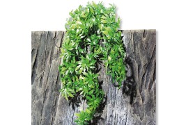 Растение иск. - JBL TerraPlanta Canabis - size M - 50 см - арт.: 6802900