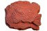 Пещера-укрытие для рептилий - JBL ReptilCava Red M - 16 x 13,5 x 10 см - красная - арт.: 7109300