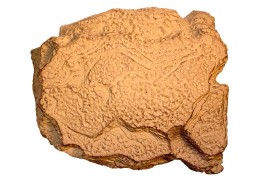 Пещера-укрытие для рептилий - JBL ReptilCava Sand XL - 23 x 20 x 10 см - песочная - арт.: 7109800