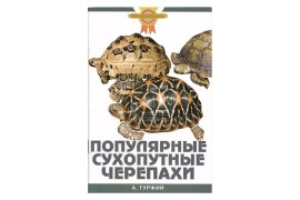 Популярные сухопутные черепахи / Гуржий А.Н. - арт.: SE-199