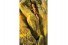 Рельефный фон имитирующий скалы - Exo-Terra Background - 30 х 30 см - арт.: PT2950