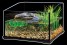 Террариум стеклянный для черепах - Exo-Terra Turtle Terrarium - 45 x 45 x 30 cm - Item No: PT3745