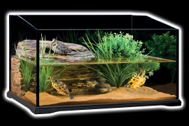 Террариум стеклянный для черепах - Exo-Terra Turtle Terrarium - 60 x 45 x 35 см - арт.: PT3750