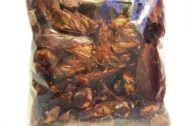 Корм сушеный Bukahi - американский таракан / 20 г - арт.: BU-193007