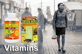 Витамины