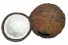 Поилка и укрытие в виде кокосов - Exo-Terra Coconut Hide & Water Dish - 21 x 12 x 12 см